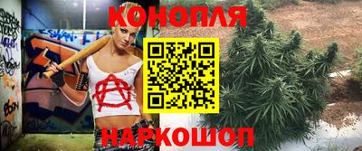 гидропоника Ирбит