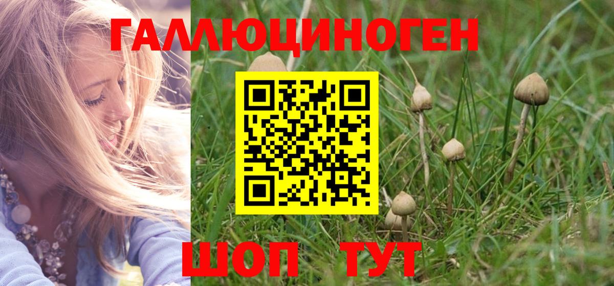 Псилоцибиновые грибы ЛСД  Вход с VPN  даркнет сайт  Кулебаки 